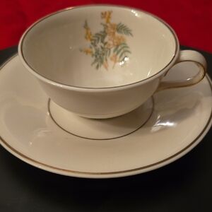 Theodore Haviland Melrose Pattern Teacup and Saucer Set